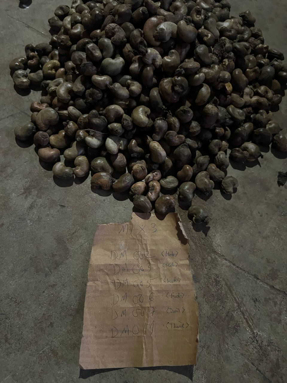 AFRIVIET