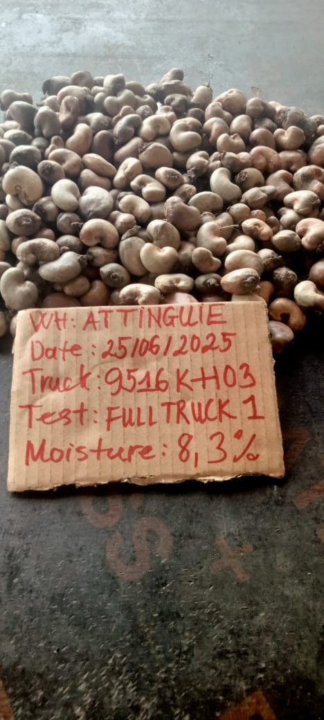 AFRIVIET