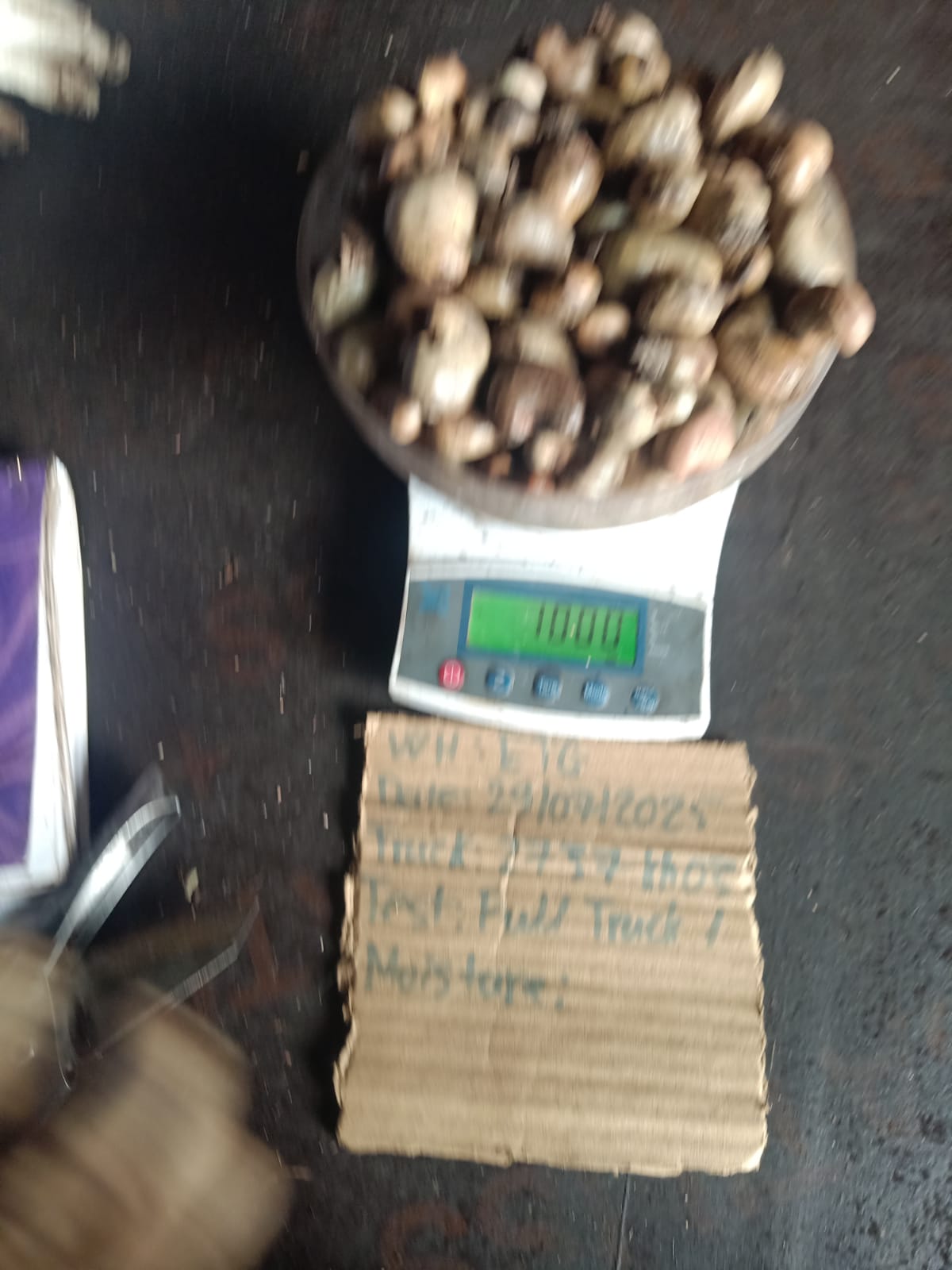 AFRIVIET