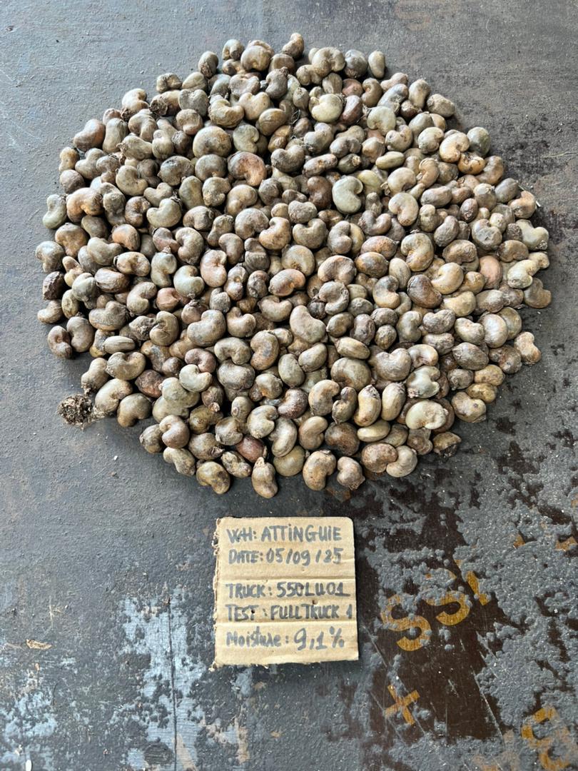 AFRIVIET