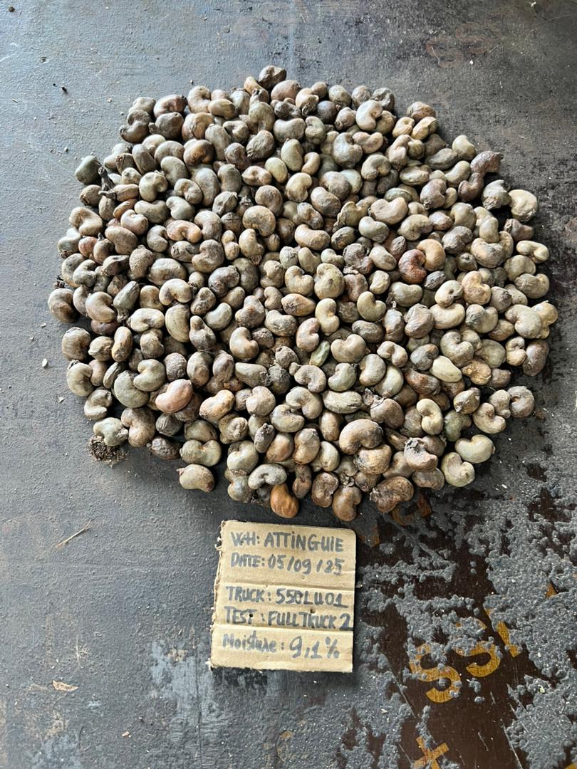 AFRIVIET